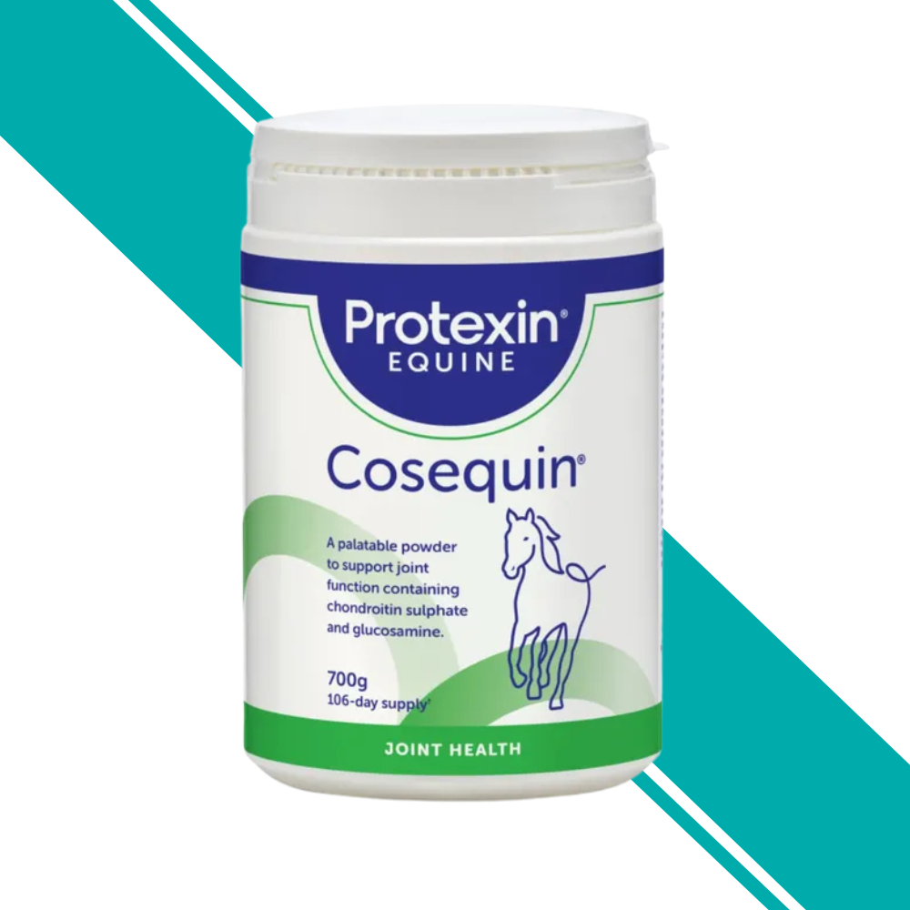Cosequin Equine Powder 700g